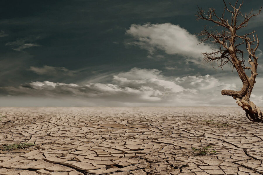 Del cambio climático a la mala gestión del agua: causas y consecuencias de la sequía